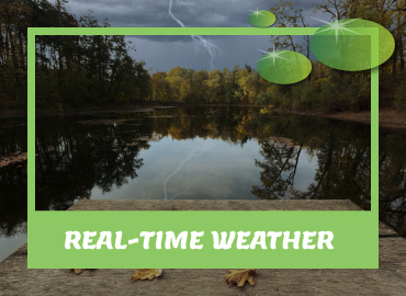 Real-time Weather Updates