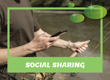 Social Sharing