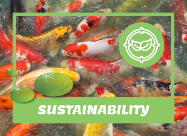 Financial Sustainability