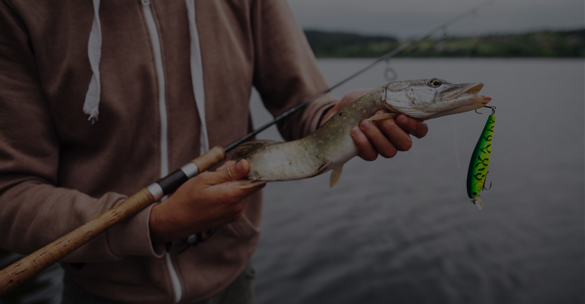 Fishinity Pro Innovation