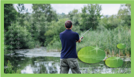 Real-time Weather Updates