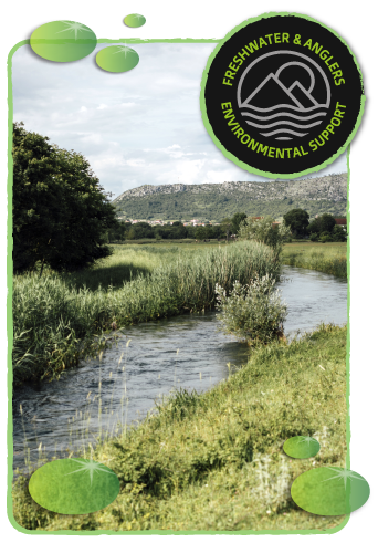 Innovation and Technology in Fishing